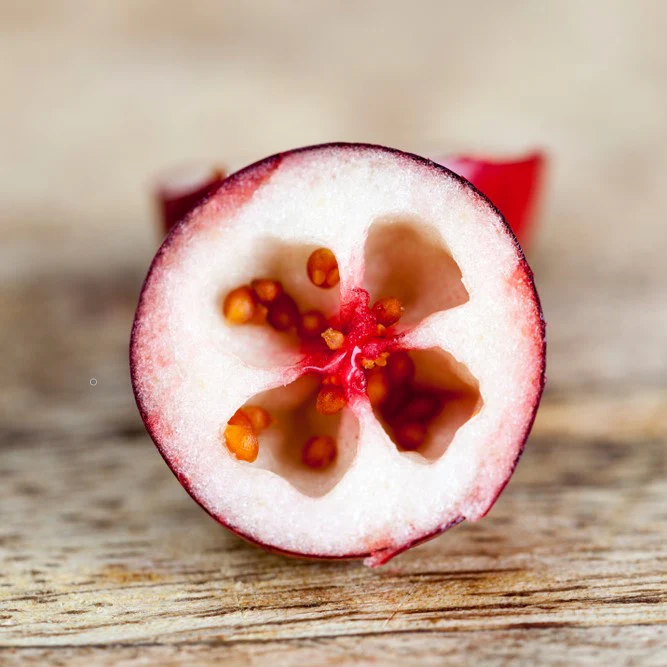 Cranberrysamenöl kalt gepresst