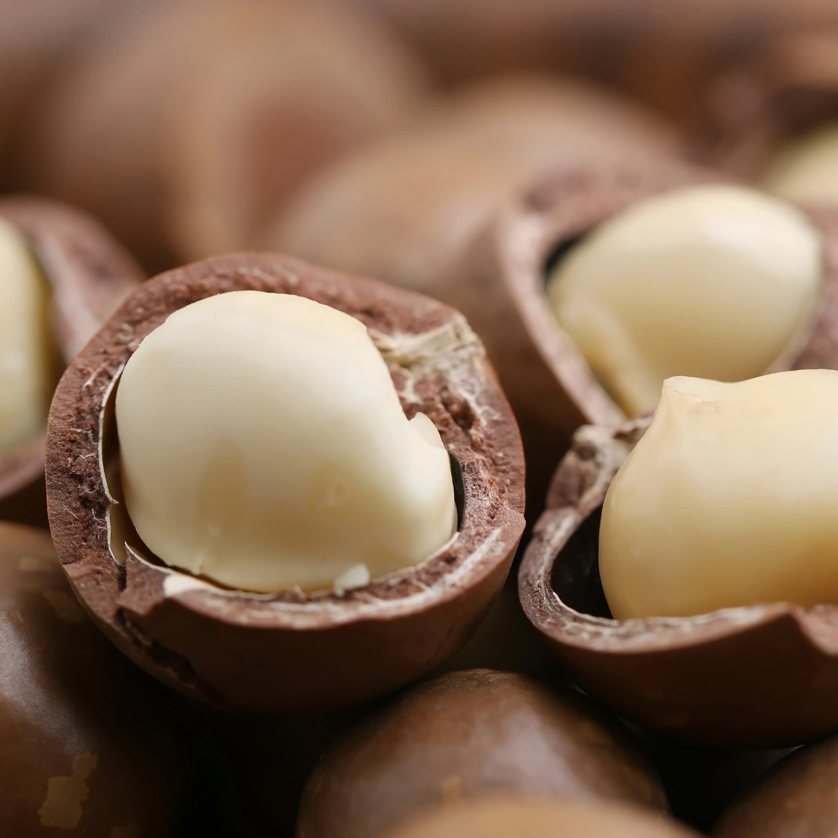 Macadamiaöl kalt gepresst, raffiniert