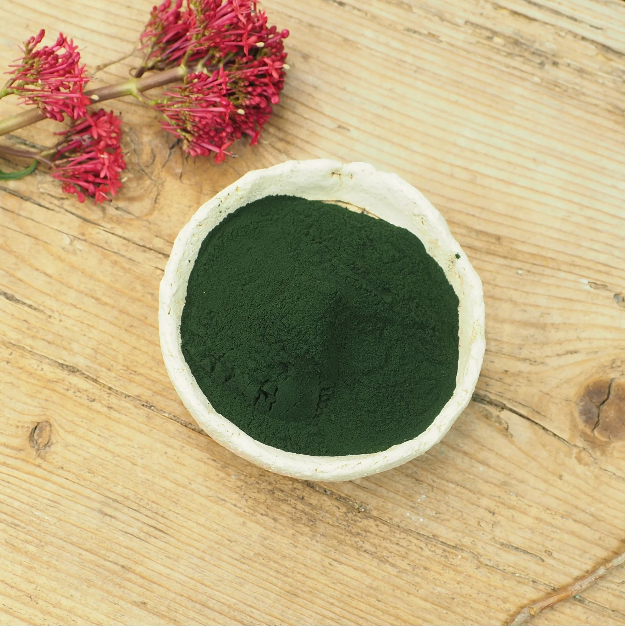 Spirulina Pulver